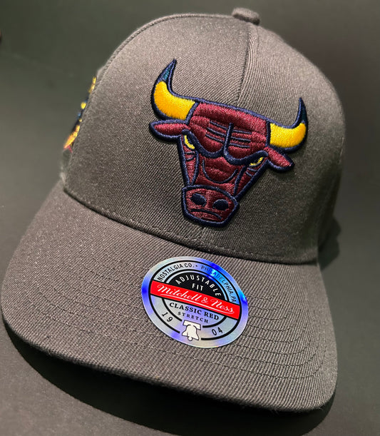 20th Anniversary Chicago Bulls